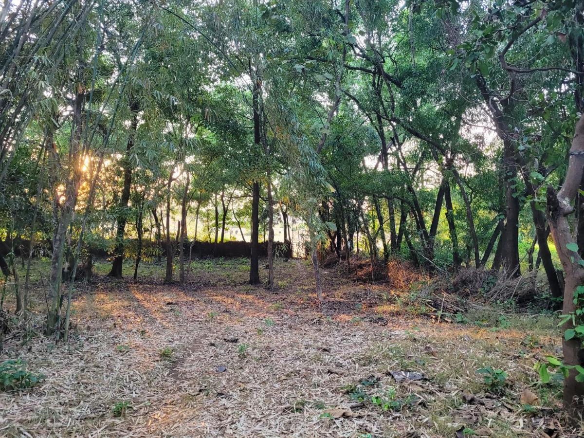Sunny'S Paradise Gokarna (Karnataka) Buitenkant foto